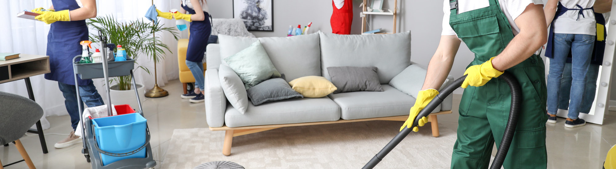 Cleaning Services Tauranga Domestic Cleaners Mt Maunganui